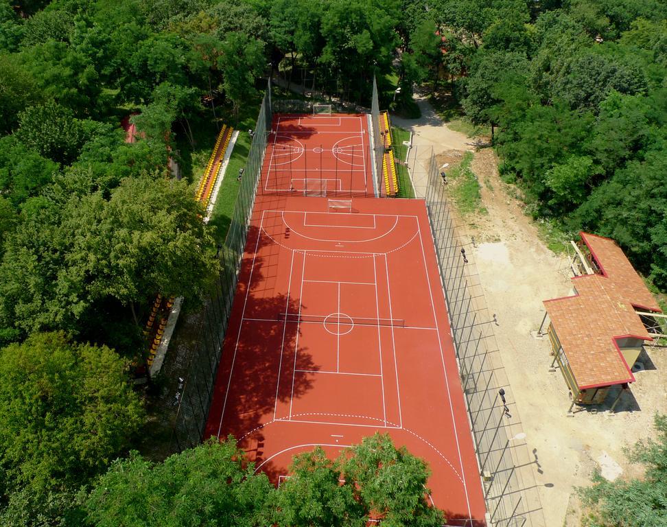 Arsenal Park Transilvania Orăştie Exterior foto