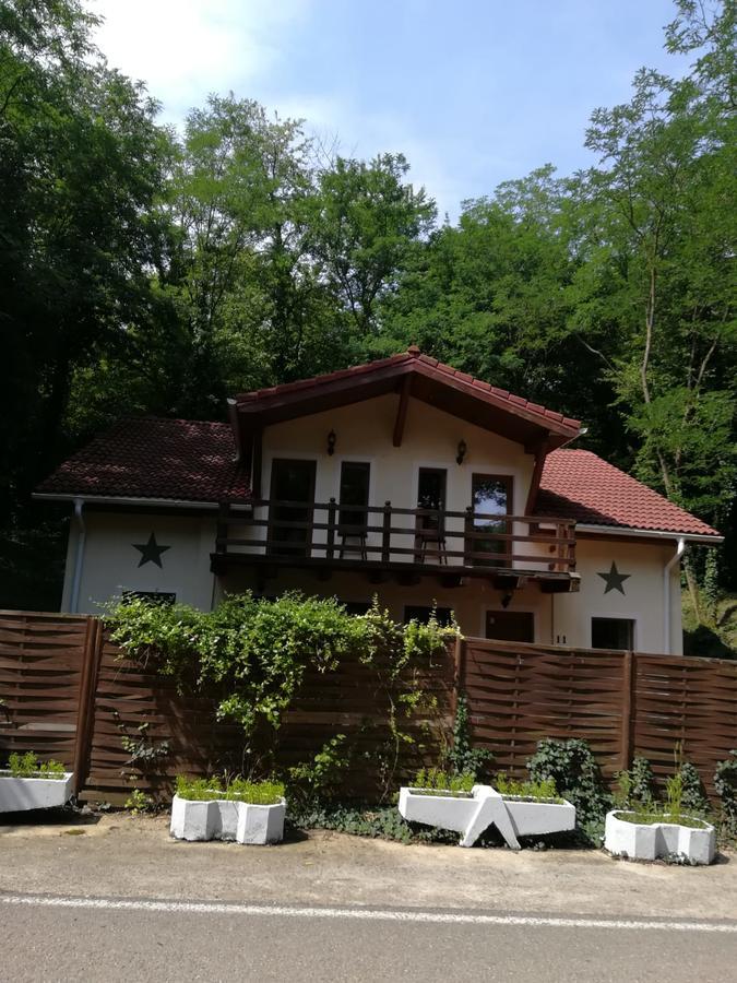 Arsenal Park Transilvania Orăştie Exterior foto